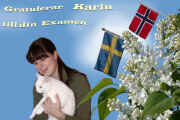 karin.jpg (195562 byte)